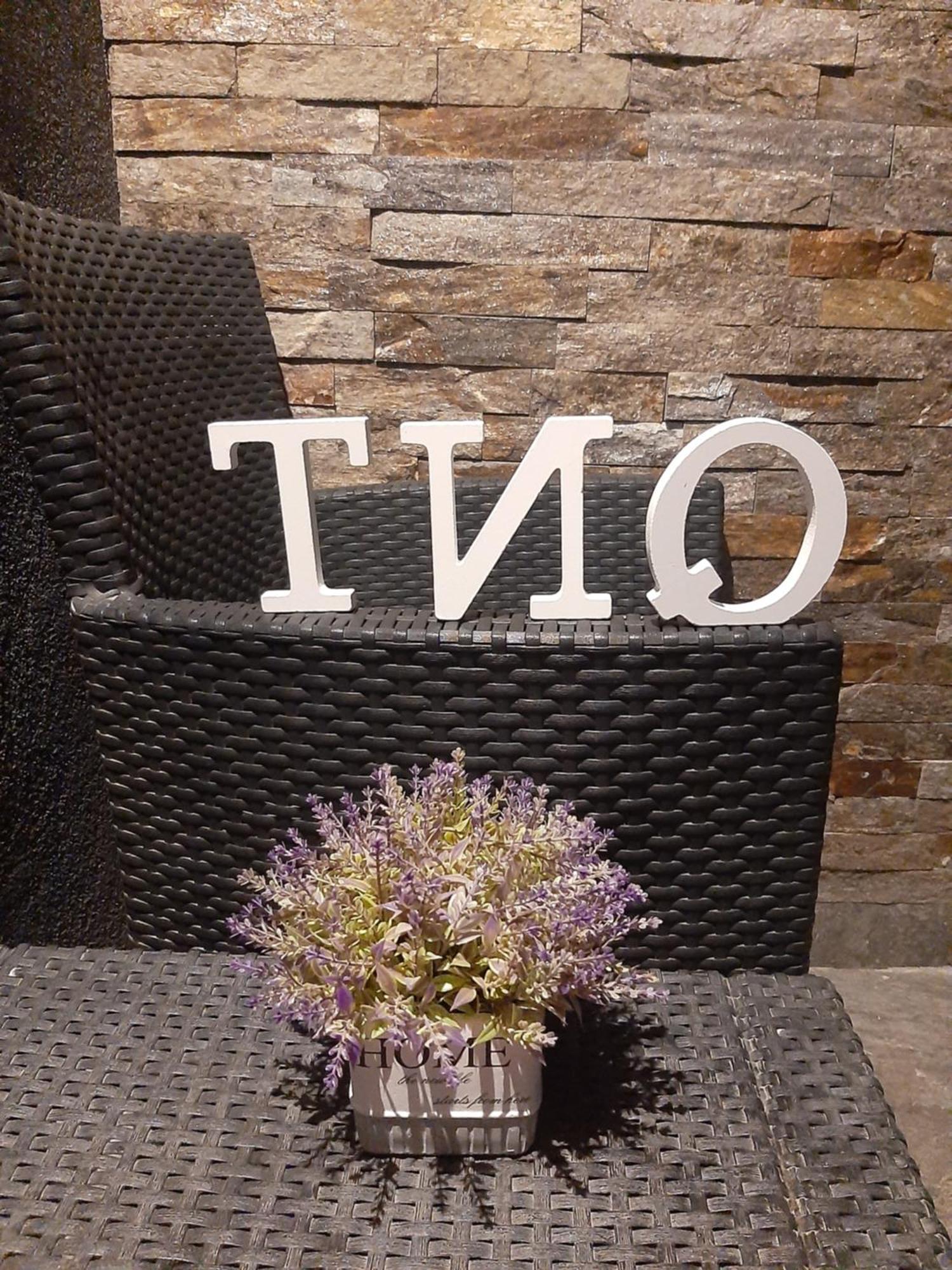 Tio Binis Apartment Zlatibor